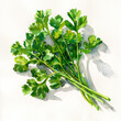 A vibrant watercolor illustration of a fresh bunch of parsley on a white background.