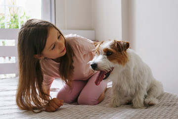 Wall Mural - Portrait of 6 year old girl playing with wire haired jack russell terrier puppy at home. Close up, copy space, background.