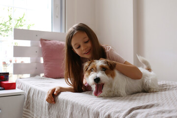 Wall Mural - Portrait of 6 year old girl playing with wire haired jack russell terrier puppy at home. Close up, copy space, background.