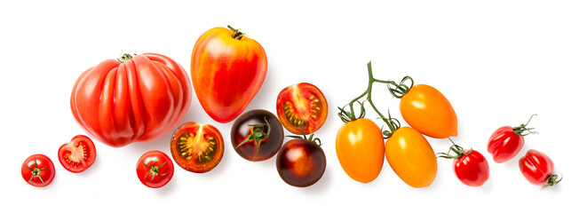 Wall Mural - group of tomatoes, different varieties of various sizes, shapes and colors, arranged as a header, footer, or banner element, isolated over a transparent background, food, cooking or gardening element