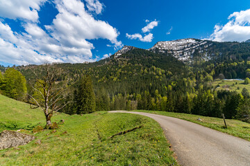 Poster - Beautiful panoramic circular hiking trail to the Denneberg at the Nagelfluhkette near Oberstaufen Steibis