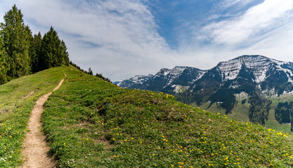 Canvas Print - Beautiful panoramic circular hiking trail to the Denneberg at the Nagelfluhkette near Oberstaufen Steibis