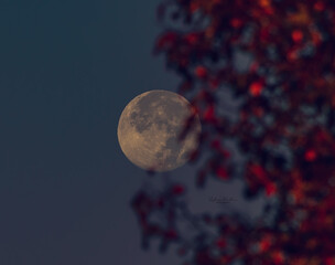 full moon