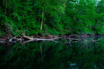 Canvas Print - a boat is docked on the shore of a river surrounded by greenery