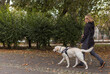 Woman with visual impairment walking with a guide dog through park