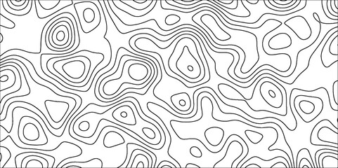 Poster - Abstract wavy line 3d paper cut white Topographic canyon geometric map relief texture. Black and white wavy topography map background. Topographic map wave line background.