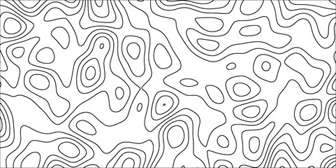 Poster - Abstract wavy line 3d paper cut white Topographic canyon geometric map relief texture. Black and white wavy topography map background. Topographic map wave line background.