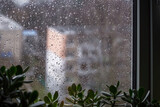Fototapeta Zachód słońca - Rain drops on window glass close up background texture. View on rainy street, town from home with houseplants on windowsill