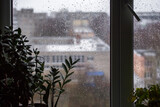 Fototapeta Zachód słońca - Rain drops on window glass close up background texture. View on rainy street, town from home with houseplants on windowsill