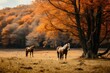 Amazing scenery of autumnal forest with golden Ground and two horses walking