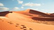 Clear Day in the Desert Sunlit Sand Dunes Stretching Far in desert