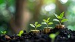 business financial concept, coins stack growing up with green plant and tree on the ground, right side copy space for text stock photo contest winner, green bokeh background, financial icon. The coins