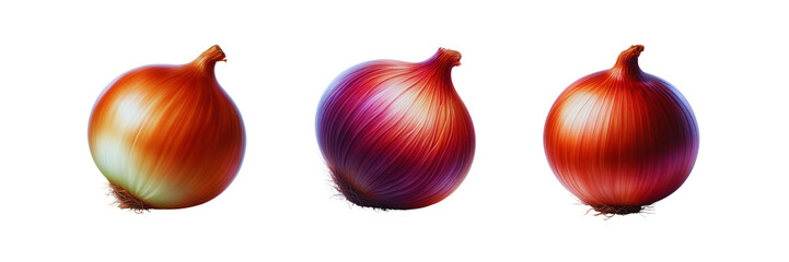 Wall Mural - Set of Onion, isolated over on transparent white background