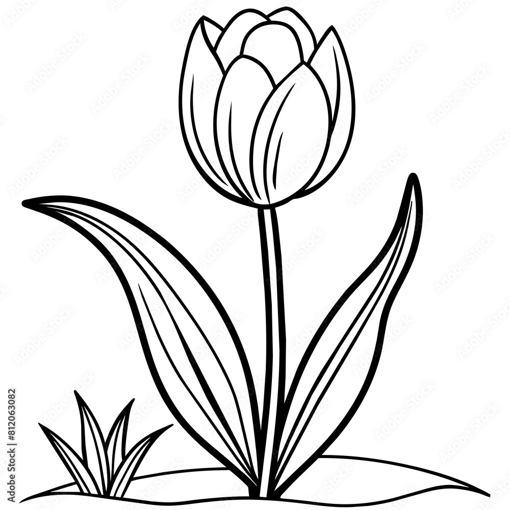 Tulip flower outline coloring book page line art drawing vector ...