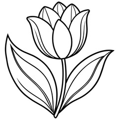 Tulip flower outline coloring book page line art drawing vector illustration for children and adults