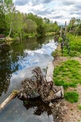 Wall Mural - Sammamish River In Kenmore 4