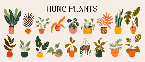 Wall Mural - cartoon indoor home plants in pots vector illustration set for design. different types of exotic pot