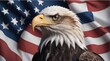 Memorial Days USA Flag Honor With Eagle Head Illustration Suitable for Graphic Resources Banner and Greetings Card Template Copy Space