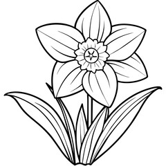 Daffodil flower outline coloring book page line art drawing vector illustration for children and adults