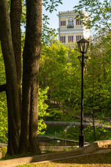 Wall Mural - Bright spring in Gomel park. Sun, flowers, alleys in flower beds in a city park.