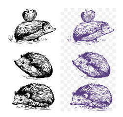 Wall Mural - hedgehog, sketch, engraving style. hand drawn set, vector illustration, black outline