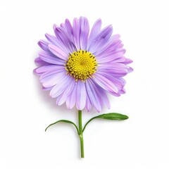 Wall Mural - flower on a light background.