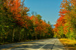 A road among a colorful autumn forest leading to the mountains on a sunny warm autumn day. Traveling around the USA.