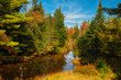 river in the autumn colorful forest on a sunny autumn warm day. USA. New Hampshire