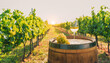 A serene vineyard scene at sunset. A glass of wine and grapes rest on a barrel, under the warm glow of the setting sun. Generative Ai.