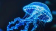 ethereal blue jellyfish closeup against dark background rare marine creature aigenerated artwork