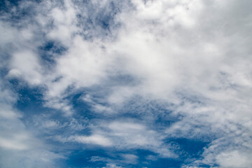 Wall Mural - The sky is blue and cloudy. The clouds are white and fluffy