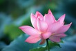 Otherworldly Spectral light lotus. Water pond floral. Generate Ai