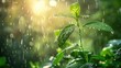 A plant being showered with raindrops and basking in sunlight against a lush green backdrop