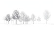 © Alon - Architectural Drawings, Minimal style cad tree line drawing, Side view, set of graphics trees elements outline symbol for landscape design drawing. Vector illustration in stroke fill in white.