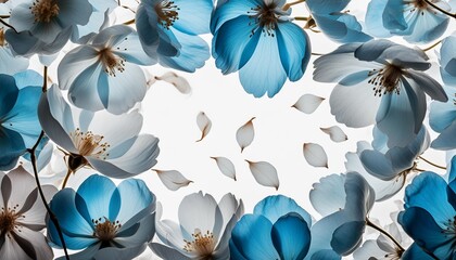 Wall Mural - floral frame with blue flying petals overlay isolated on transparent background