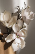 Close up of beautiful artificial magnolias in the paper eco bag  against with wall with shadows.