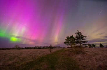 amazing aurora borealis in saskatchewan