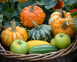 autumn harvest of pumpkins with apples and zucchini in a basket