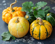 Assortment of fresh pumpkin vegetables, autumn harvest on the table