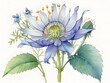Bluebottle Flower Watercolor Plant Nature Art