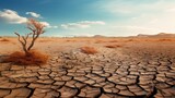 A dry field with cracked earth and dry vegetation