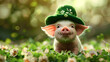 Adorable Piglet in Green Hat Celebrating St. Patrick's Day