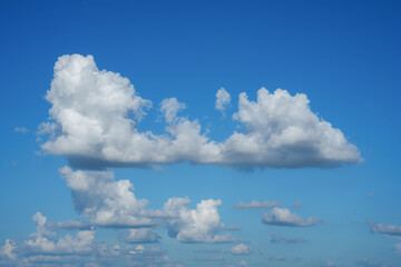 Wall Mural - clouds white soft in the vast blue sky