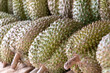 Durian fruit as background. Close-up