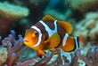 Anemone Adventures: Exploring the Fascinating World of Clownfish and Their Habitat