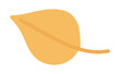 Autumn season leaf in flat design. Forest dry orange foliage with twig. Vector illustration isolated.