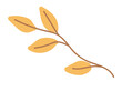 Autumn twig with leaves in flat design. Fall branch with orange leaflets. Vector illustration isolated.
