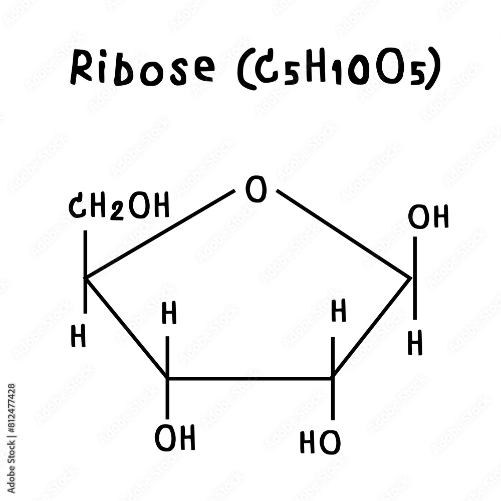Fuel Ribose Ribose chemical structure illustration Stock Illustration | Adobe Stock