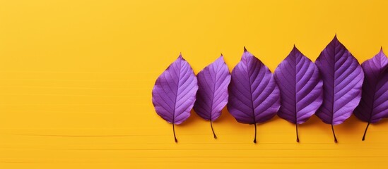 Poster - Aesthetic autumn leaves in vibrant yellow hues with a copy space image set against a striped violet backdrop