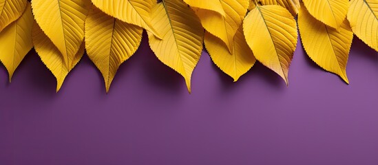 Poster - Aesthetic autumn leaves in vibrant yellow hues with a copy space image set against a striped violet backdrop